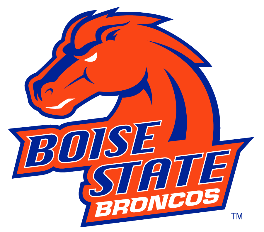 Boise State Broncos 2002-2012 Secondary Logo v16 diy DTF decal sticker